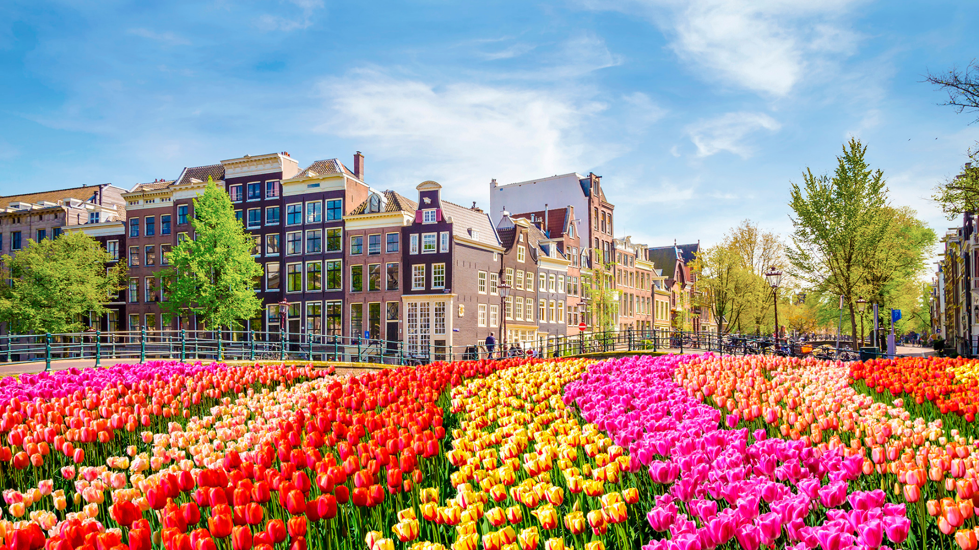 Sail the World with Viking Cruises